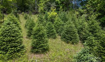 1557 Shoal Creek Rd, Balsam Grove, NC 28708