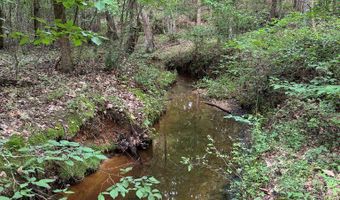 9891 Baskerville Rd, Baskerville, VA 23915