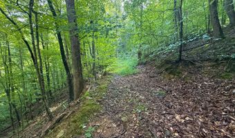 6270 KY 1809, Barbourville, KY 40906