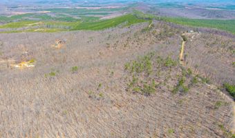 Larkin Mountain, Amherst, VA 24521
