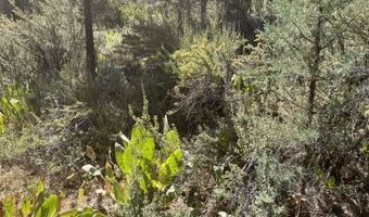 Ranch Rd, Alturas, CA 96101