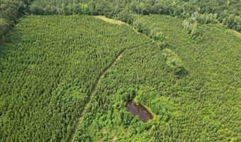 0 County Road 204, Ariton, AL 36311