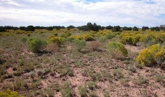 Bar Nothing Ranch Road unit 409 409, Chambers, AZ 86502