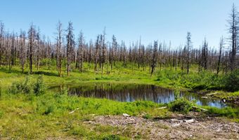 2493 Greer Rd, Bellvue, CO 80512