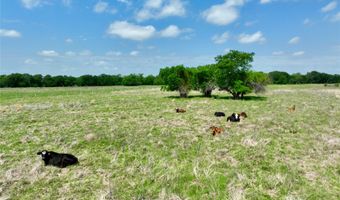 TBD 11 acres Fm 1183, Alba, TX 75119
