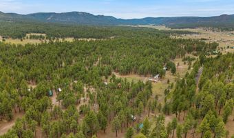 County Rd 2121, Alpine, AZ 85920