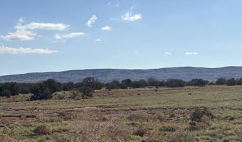 A County Road 5576, Concho, AZ 85924