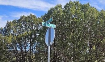 Deer Valley Drive 4, Alto, NM 88312