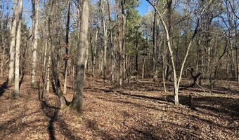 Cr 127, Abbeville, MS 38601