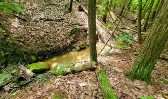 4376 VT-22A, Bridport, VT 05734