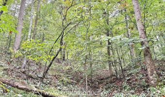 Jesse Run Rd, Arnoldsburg, WV 25234
