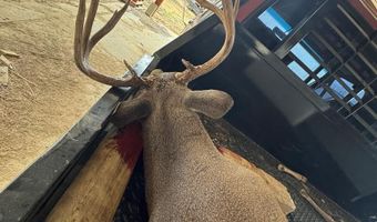1037 Cr 300, Big Creek, MS 38914