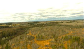Township Road 5743, Alborn, MN 55702