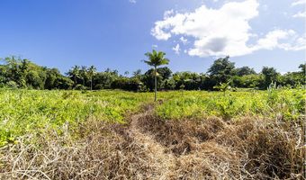 LAEHALA ST, Hilo, HI 96720