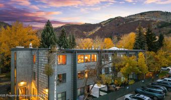 725 E Main St 309, Aspen, CO 81611