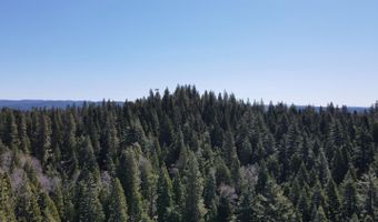 403 Sierra Pkwy, Camp Connell, CA 95223