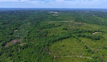 County Road 38, Autaugaville, AL 36003