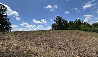 626 Sportsman Ln, Andersonville, TN 37705