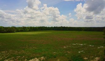 0 N County Rd. 75, Ashford, AL 36312