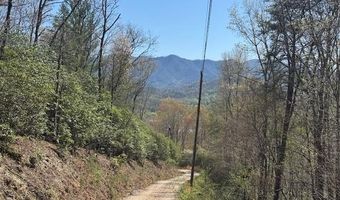 000 Holland Farm Rd, Andrews, NC 28901