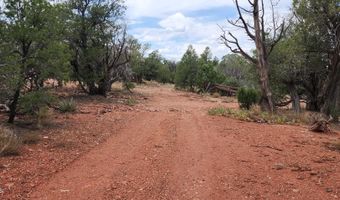 488 B & C Scorpion, Ash Fork, AZ 86320