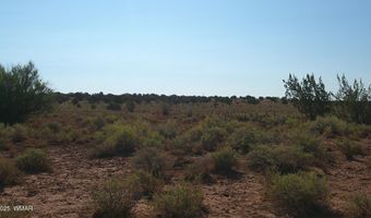 Tbd Wicked Sisters Way 38ac, Concho, AZ 85924