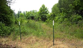1071 LR 3, Ashdown, AR 71822