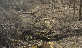 6739 Co Rd W 76-430, Ava, MO 65608