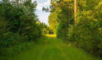 Mann Road, Arabi, GA 31712