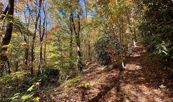00 Summit View Dr, Canton, NC 28716