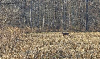 0 E County Road 1575 N, Batesville, IN 47006