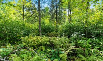 Double Bend Road, Argonne, WI 54511