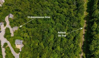 53 Ammonoosuc Dr, Bartlett, NH 03812