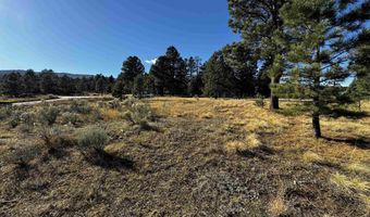 1290 Torrey Pines Ln, Angel Fire, NM 87710