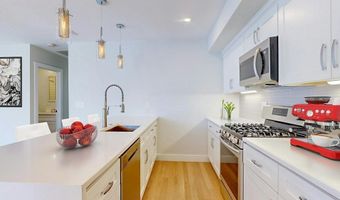 15 W Bellflower St 2, Boston, MA 02125