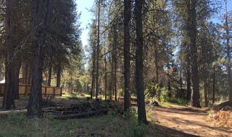 1909 Gold Dust Rd 60, Cascade, ID 83611