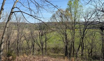 PAYNES POND RD, Arvonia, VA 23004