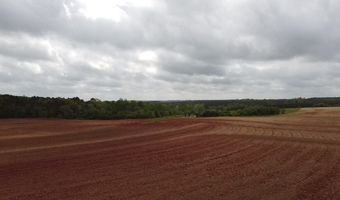 00 County Road 137, Abbeville, AL 36310