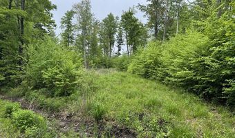 Lot B Beulah Land Rd, Blandford, MA 01008
