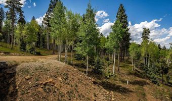 25 Los Alamos Cir, Angel Fire, NM 87710