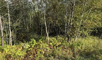 11 Bowling Green Ln, Belfast, ME 04915