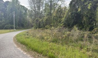 Tract 5 Smith Lane, Bowman, SC 29018