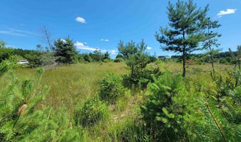Parcel D Cemetery Road, Alden, MI 49612