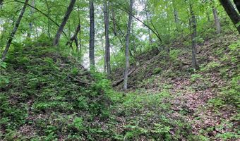 N3953-89 Bear Pen Road, Arkansaw, WI 54721