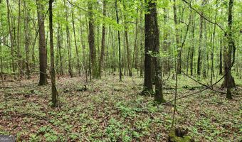 143 Highway 341, Barnesville, GA 30204