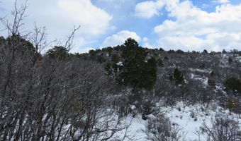 Tbd 117 County Road, Glenwood Springs, CO 81601