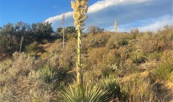 56768 Dickson Hills Rd, Anza, CA 92539
