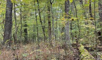 213 Patterson Creek Dr, Alderson, WV 24910