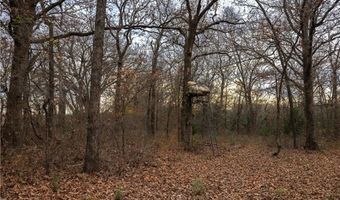 Tract 2 Acme RD, Asher, OK 74826