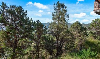 404 Wild Spring Ln, Basalt, CO 81621